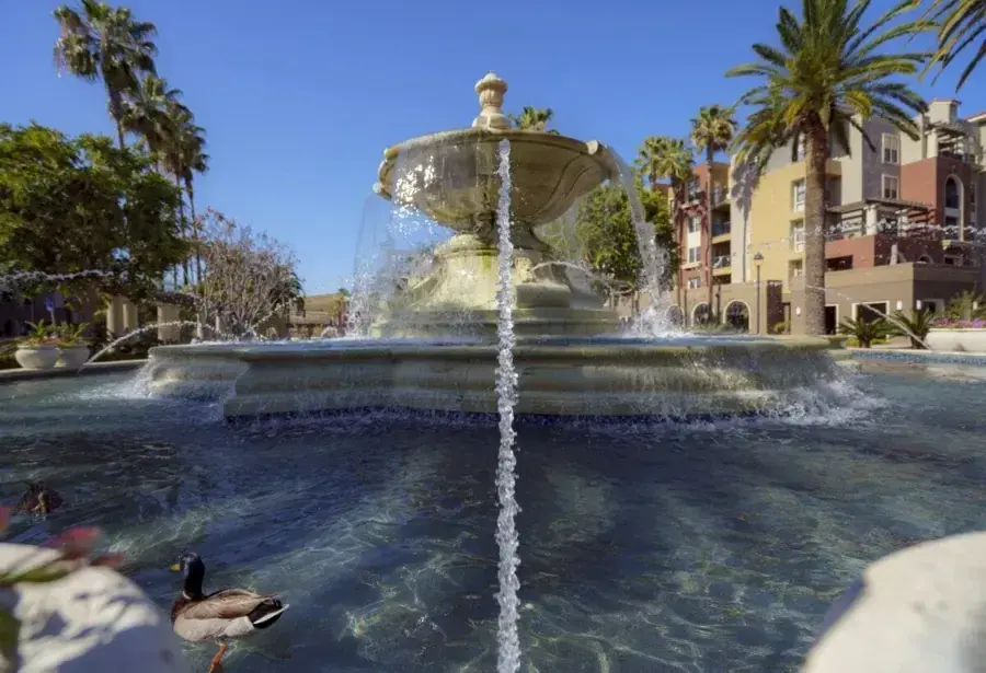 Tiered fountain spraying water in a pool lined with palm trees