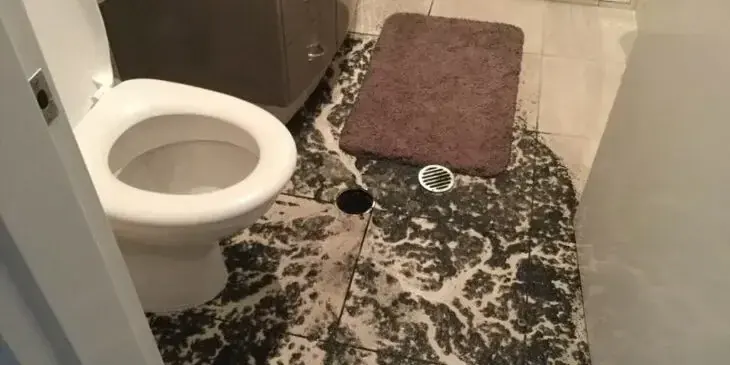 Dirty water and debris spread across a bathroom floor around a toilet